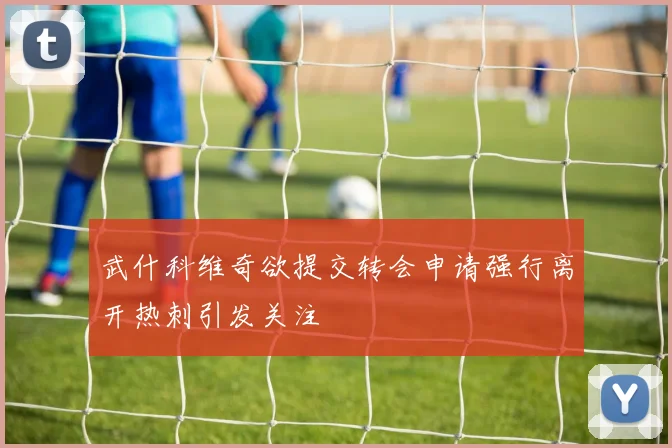 武什科维奇欲提交转会申请强行离开热刺引发关注
